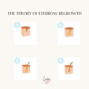 Brow Regrowth/Boost Page